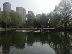 -长白岛森林公园