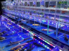 -鼓楼夜市