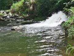 -广州市石门国家森林公园