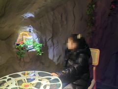 -秦皇岛新澳海底世界