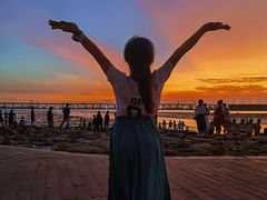 -宝安西湾红树林湿地公园