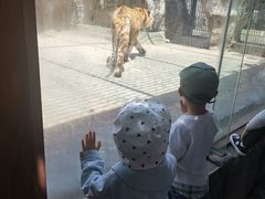 -南昌动物园