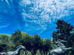 -元大都城垣遗址公园