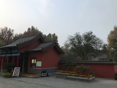 -百脉泉景区