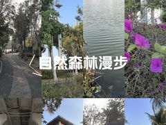 -中澳友谊花园