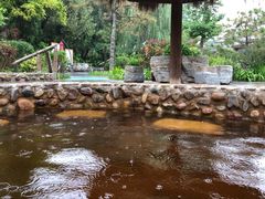 -南宫温泉水世界