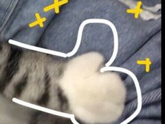 -蜜雪冰城(新华路店)