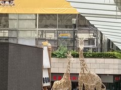 -瑞虹新天地月亮湾