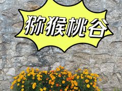 -大岭沟猕猴桃谷风景区