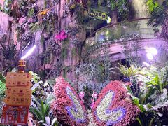 -正佳雨林生态植物园