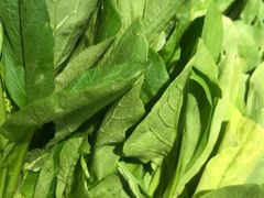 小白菜-西北农副产品中心批发市场(广安路店)