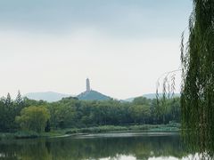 -北坞公园