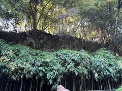 -杭州黄龙洞