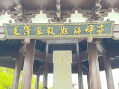 -观潮胜地公园