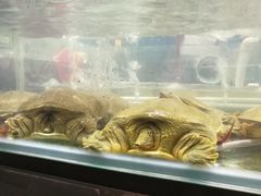-海精英海鲜世界(台海路店)