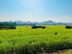 -光明小镇欢乐田园