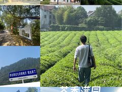 -敬亭山风景名胜区