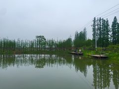 -乌村
