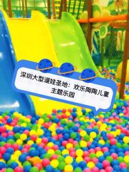 -欢乐陶陶儿童主题乐园(龙岗店)
