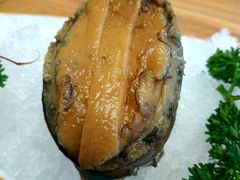 秘制鲍鱼-一本钓鲔鱼屋