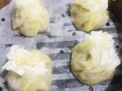 -雪梨精酿 Sydney Coast Brewing(沁春家园店)