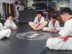 -金翼跆拳道巴西柔术拳击格斗学院