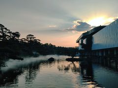 -罗红摄影艺术馆