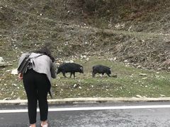 -硗碛藏寨·神木垒景区