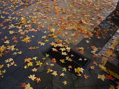 -超级猩猩健身·团课(国贸店)