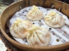 -莱莱小笼·乔艾