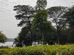 -海珠湖公园