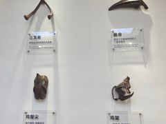 -萍姨抻面馆·鸡架冒菜(清湖店)