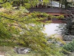 -久宴·天目湖大鱼头(恐龙园店)