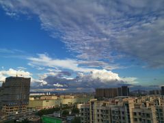 -紫荆广场·花漫里