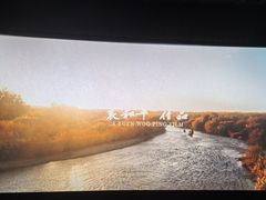 -保利国际影城(中环店)