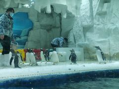 -华夏文旅海洋公园