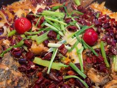 -老板恋上鱼(恒隆广场店)