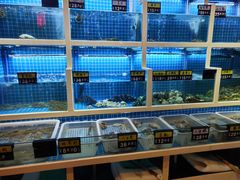 水产区-粤港餐厅(禹州商业广场店)