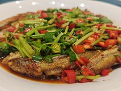 -广信传说