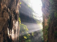 -武陵山森林公园