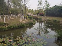 -厦门园林博览苑
