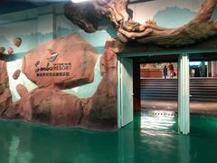 -杭州开元森泊度假乐园