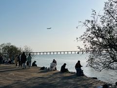 -宝安西湾红树林湿地公园