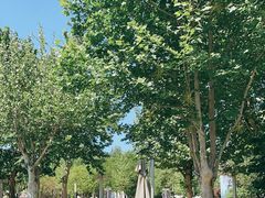 -春晖园度假酒店温泉