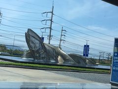 -王权免税店(普吉市区店)