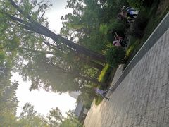 -迎泽公园