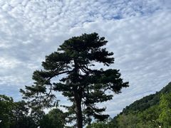 -秦岭终南山世界地质公园翠华山景区