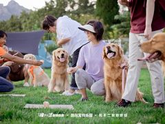 -趣玩宠物乐园寄养训犬训狗游泳池