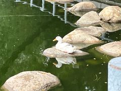 -莲湖公园