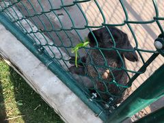 -上海滴水湖皇冠假日酒店